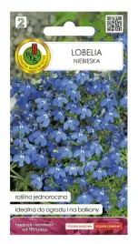 lobelia-niebieska-nasiona-roslina-jednoroczna-na-balkon-01-g-1-szt