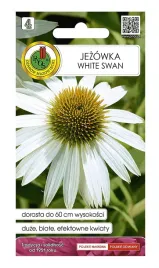 jezowka-biala-nasiona-kwiatow-do-ogrodu-bylina-wieloletnia-05-g-1-szt