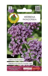 werbena-patagonska-nasiona-rosliny-miododajnej-na-rabaty-01-g-1-szt
