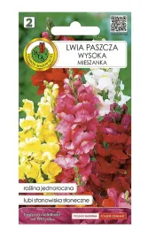 lwia-paszcza-wysoka-mieszanka-nasion-kolorowe-kwiaty-do-ogrodu-03-g-1-szt