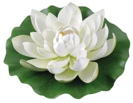 biala-lilia-wodna-duza-ozdobna-28-cm