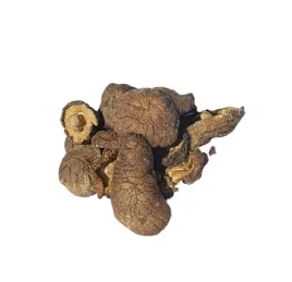 grzyby-shitake-25-g-suszone-kapelusze-od-skworcu