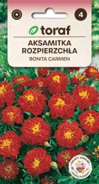 aksamitka-rozpierzchla-bonita-carmen-1g-toraf-400