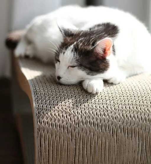 mykotty-drapak-lui-brazowy-wysokosc-cm-do-60-cm