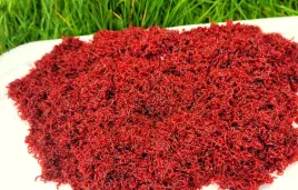 przyneta-zywa-ochotka-zanetowa-jokers-czysty-500g