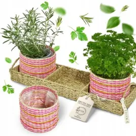 doniczka-doniczki-na-ziola-x-3-szt-z-podstawa-ecck-boho-roz