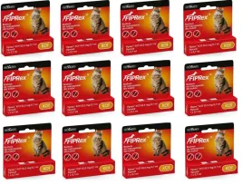 vet-agro-fiprex-kot-x12-zestaw-roczny-na-kleszcze-dla-kota