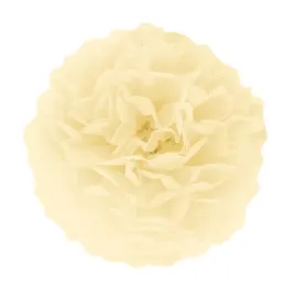 pompon-bibulowy-dekor-do-sali-niebieski-wesele-slub-urodziny-honeycomb-15cm