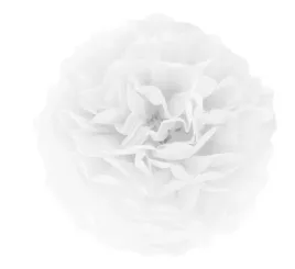 pompon-bibulowy-dekor-do-sali-bialy-na-wesele-urodziny-honeycomb-25-cm