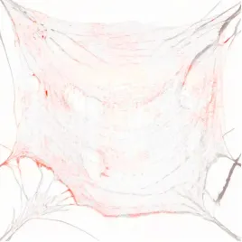 zakrwawiony-material-na-halloween-72x980cm-dekoracja-sali-pajak