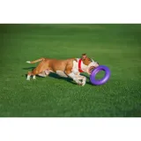 collar-puller-maxi-30cm-ringo-do-cwiczen-dla-psow-marka-puller-waga-580-g