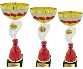 piekny-patriotyczny-komplet-pucharow-39-37-36-cm-grawer-gratis