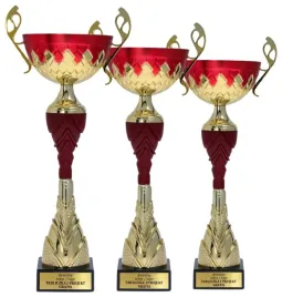 komplet-zloto-czerwonych-pucharow-3-szt-36-31-26-cm-personalizacja-gratis