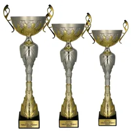 komplet-zloto-srebrnych-pucharow-3-szt-36-31-26-cm-personalizacja-gratis