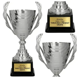 ogromny-super-cena-metalowy-puchar-srebrny-50-cm-personalizacja-gratis