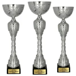 komplet-srebrnych-turniejowych-pucharow-3-szt-46-40-33-cm-grawerki-gratis