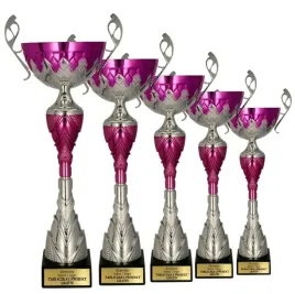 komplet-srebrno-rozowych-pucharow-5-szt-50-45-36-31-26cm-grawerki-gratis