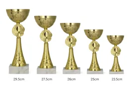 zestaw-5-pucharow-8485-295-27-26-25-235-emblemat-opis-zawody-trofeum