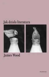 jak-dziala-literatura