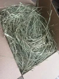 siano-sianko-7-kg-dla-gryzoni-i-krolikow-swieze-od-rolnika-7kg-eko-suszone