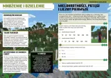 minecraft-matematyka-megazadania-12-stan-nowy