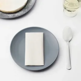 serwetki-biale-kwadratowe-papier-30-cm-x-30-cm-ikea-storatare