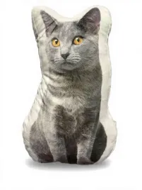 smukee-poduszka-ksztaltka-kot-szary