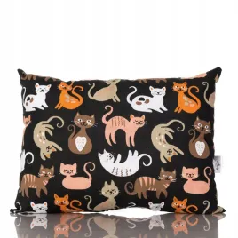 poduszka-jasiek-30x40-cm-100percent-bawelna-ozdobna-podrozna