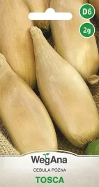 cebula-tosca-o-wydluzonym-ksztalcie-nasiona-cebuli-2-g-20x30-cm-wegana