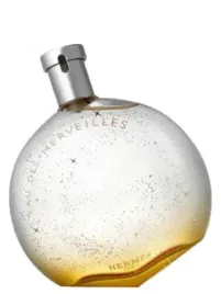 hermes-eau-des-merveilles-100ml-edt