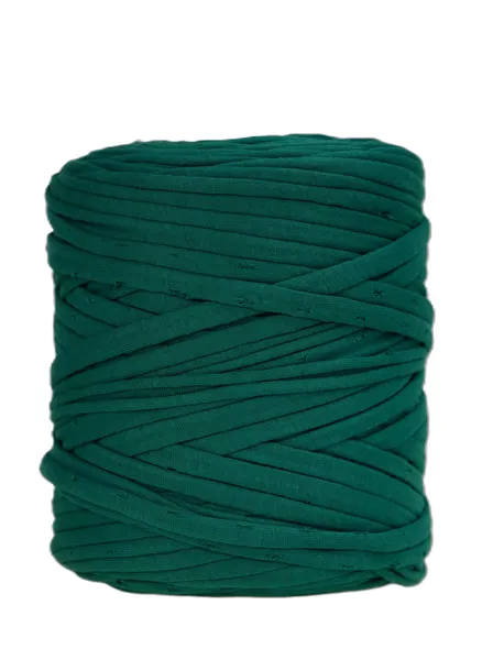 Przędza, włóczka -  T-Shirt Yarn - zielony (5)- 100m