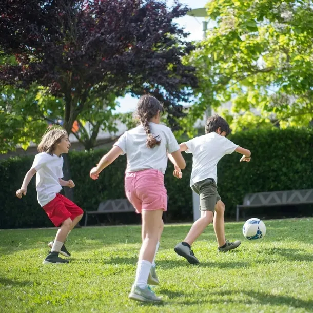 zestaw-bramek-roberto-material-stal