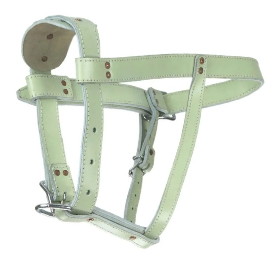 obroza-kramp-dla-bydla-30-cm-stan-nowy