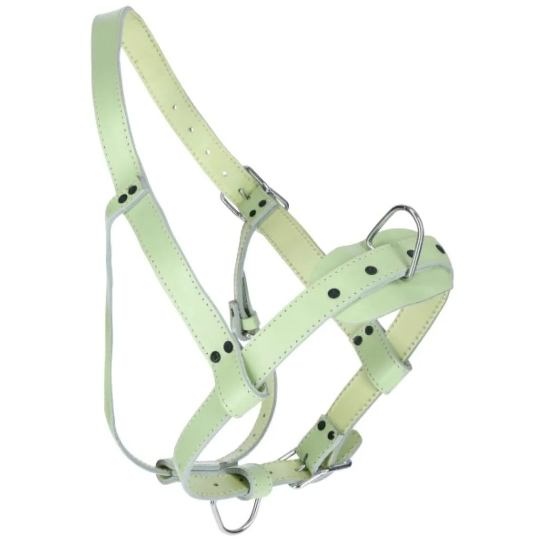 obroza-kramp-dla-bydla-30-cm