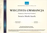 lyzeczka-do-herbaty-amefa-palmon-do-restauracji-stan-opakowania-oryginalne