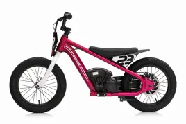 motor-baigor-23-pro-rozowy