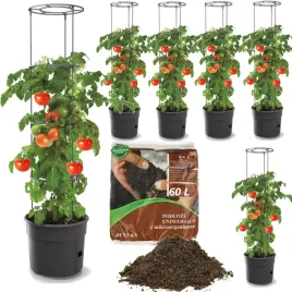6x-donica-do-sadzenia-pomidorow-o30-12l-uprawa-warzyw-ziemia-podloze-60l