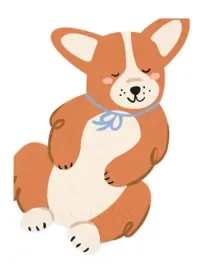 serwetki-urodzinowe-pieski-corgi-piesek-urodziny-dekoracje-stolu-12szt