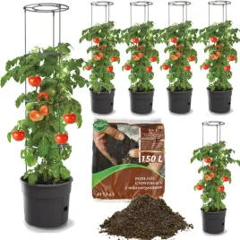 6x-donica-sadzarka-do-pomidorow-o40-28l-uprawa-warzyw-ziemia-podloze-150l