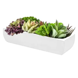 ceramiczna-doniczka-na-sukulenty-oslona-rynna-kaktusiarka-biala-polysk-31cm