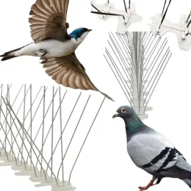 najgestsze-mocne-kolce-na-ptaki-golebie-kolce-przeciw-ptakom-nierdzewne