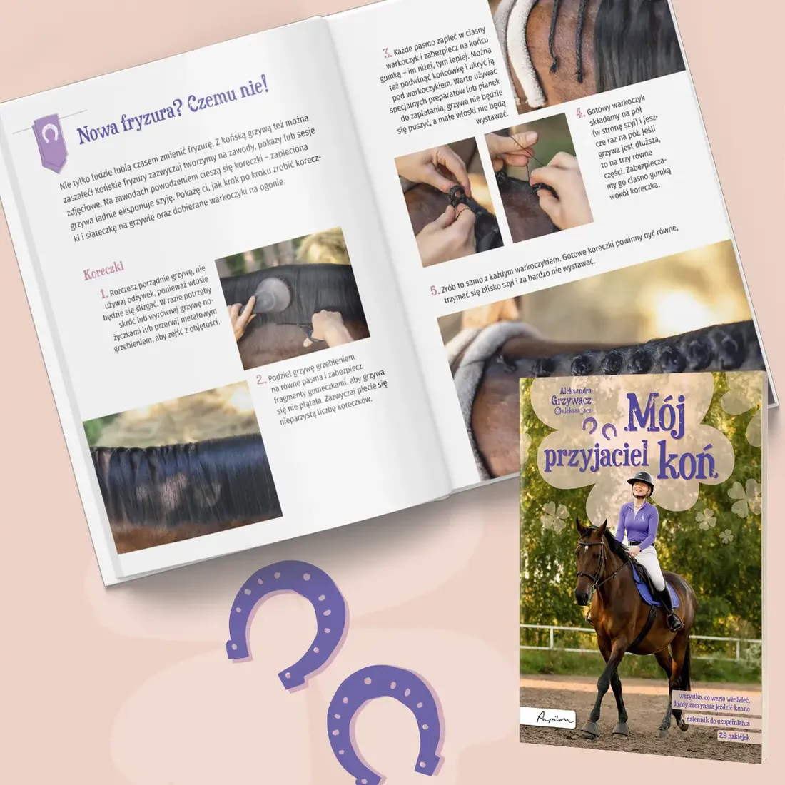 moj-przyjaciel-kon-stan-nowy