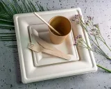 zestaw-z-trzciny-cukrowej-kwadratowy-braz-12-osob-stan-nowy