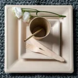 zestaw-z-trzciny-cukrowej-kwadratowy-braz-12-osob-material-inny