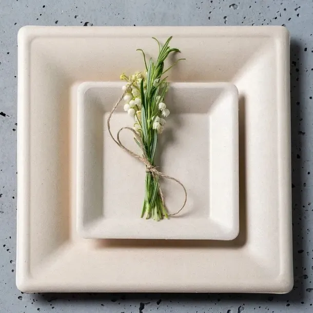 zestaw-z-trzciny-cukrowej-kwadratowy-braz-12-osob-liczba-sztuk-w-zestawie-72-szt