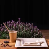 zestaw-z-trzciny-cukrowej-kwadratowy-braz-12-osob-stan-nowy-marka-ekoparty