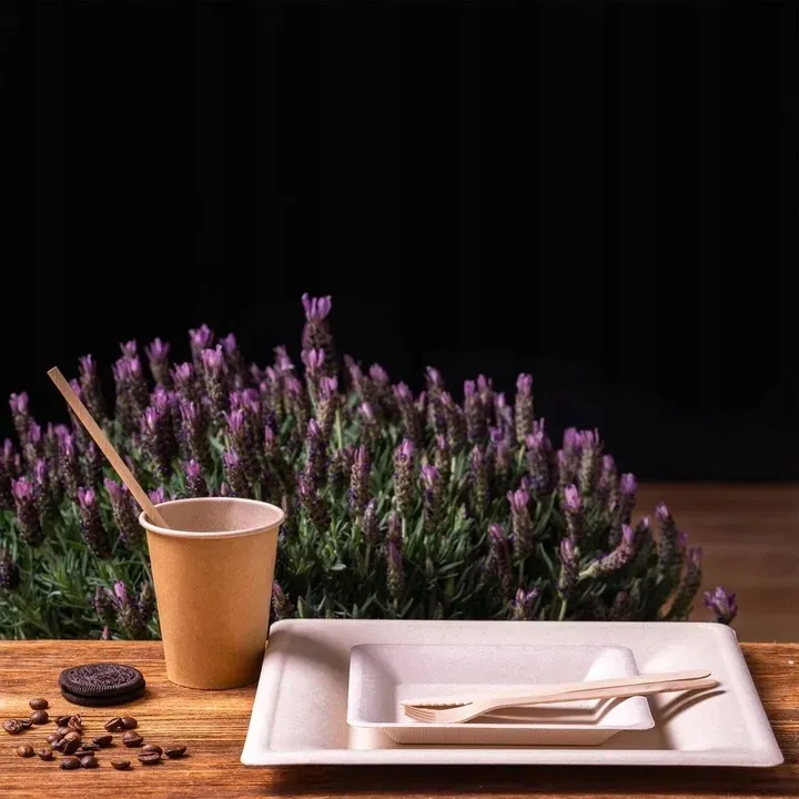 zestaw-z-trzciny-cukrowej-kwadratowy-braz-12-osob