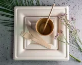 zestaw-z-trzciny-cukrowej-kwadratowy-braz-12-osob-stan-nowy-rodzaj-talerze-i-tacki