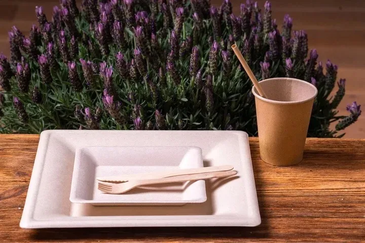 zestaw-z-trzciny-cukrowej-kwadratowy-braz-12-osob-stan-nowy-material-inny