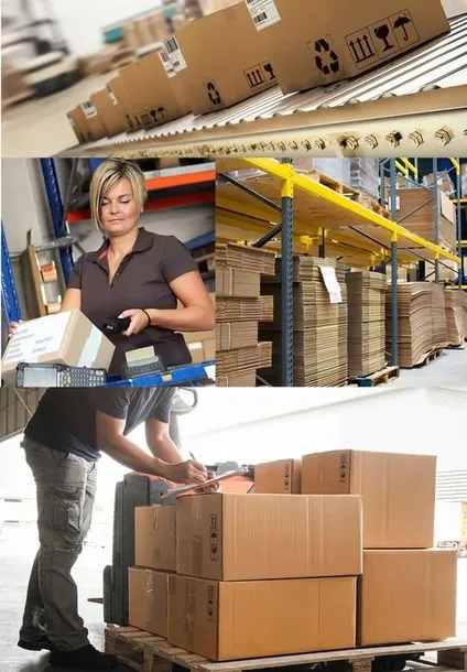 talerze-jednorazowe-papierowe-obiadowe-deserowe-grill-piknik-23cm-100szt-liczba-sztuk-w-zestawie-100-szt